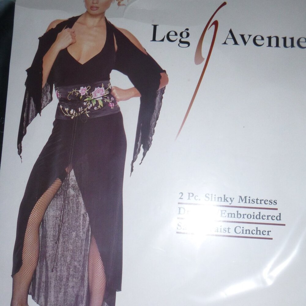 Womens Halloween Mistress Dress Costume